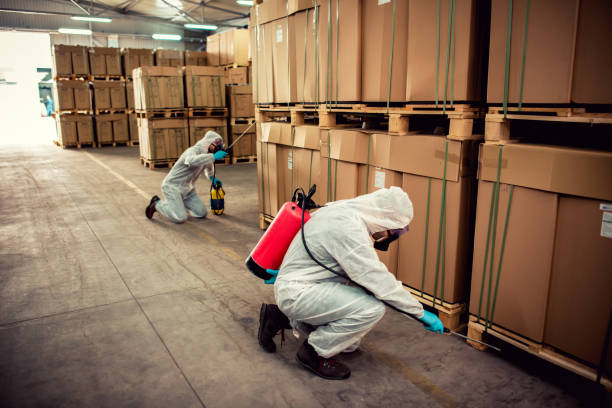 Best Wildlife Control Services  in Robinwood, MD