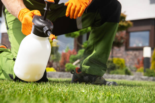 Best Best Pest Control Near Me  in Robinwood, MD
