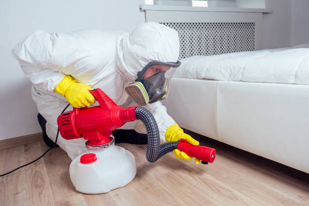 Reliable Robinwood, MD Pest Control Solutions