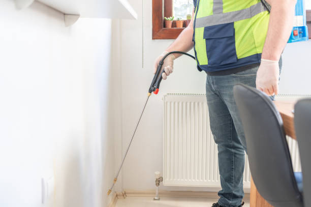 Pest Prevention Services in Robinwood, MD