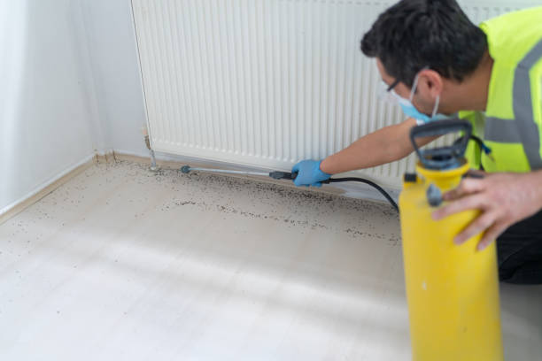 Best Termite Control Services  in Robinwood, MD
