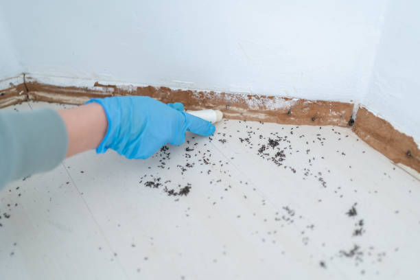 Best Exterminator Services  in Robinwood, MD
